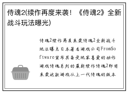 侍魂2(续作再度来袭！《侍魂2》全新战斗玩法曝光)