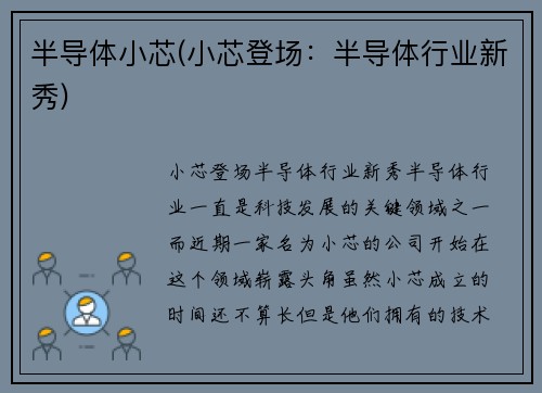 半导体小芯(小芯登场：半导体行业新秀)